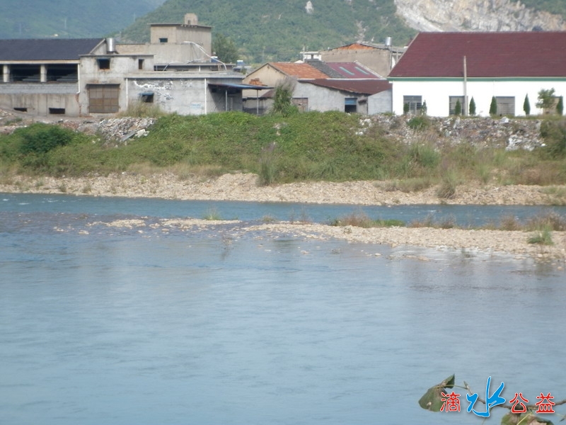 P1010441.JPG