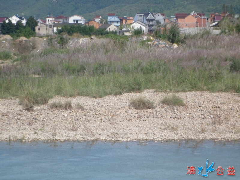 P1010442.JPG