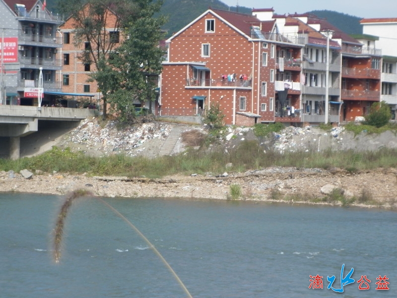 P1010449.JPG