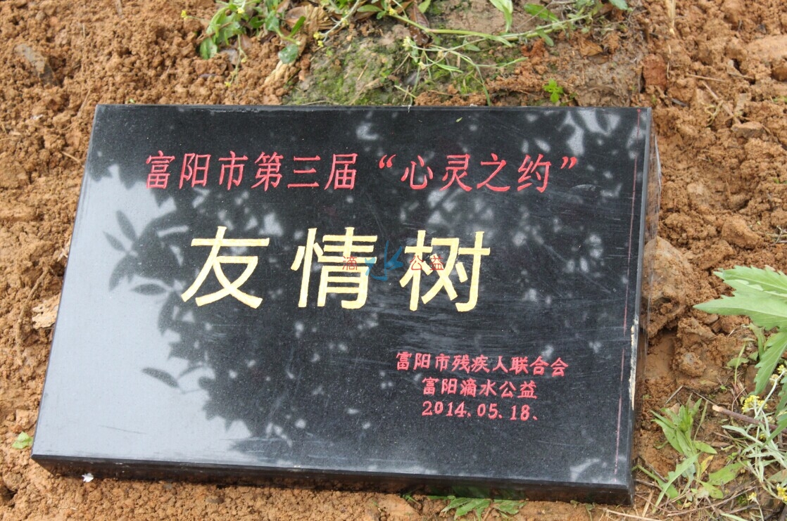友情树碑、